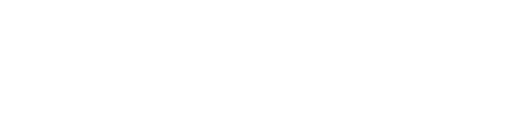 Dexx IT Computer System Co. Ltd